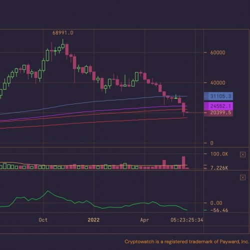 Carousel post from bfx.referral.code.