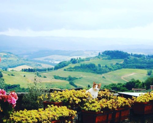 Photo post from taucktravel.