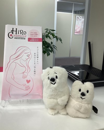 Photo post from hiroclinic_nipt_official.