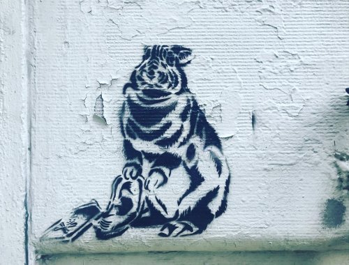 Photo post from nydreamer7.