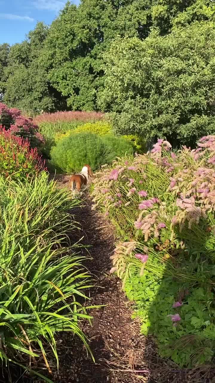 Video post from sussexprairies.