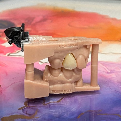 Photo post from trilliumdental.