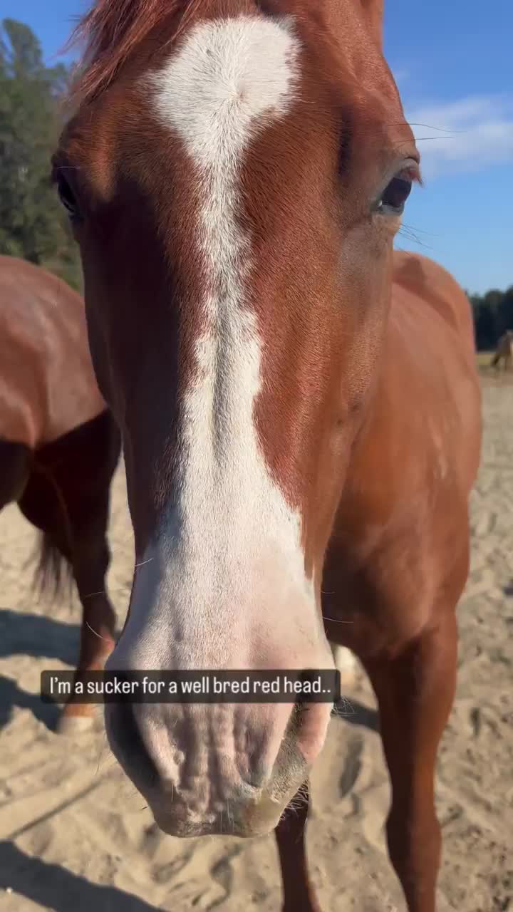 Video post from __amber_lydic__.