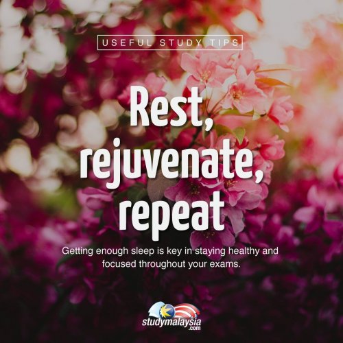 Photo post from studymsia.