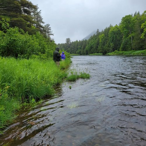 Carousel post from reddogguideservice.