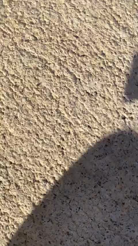 Video post from dandywineshop.