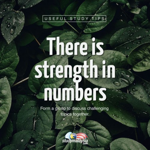 Photo post from studymsia.