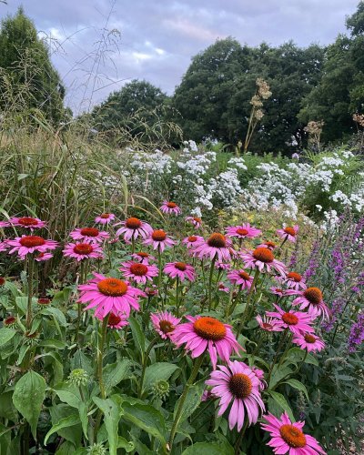 Photo post from sussexprairies.