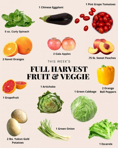 Photo post from farmbox_arizona.