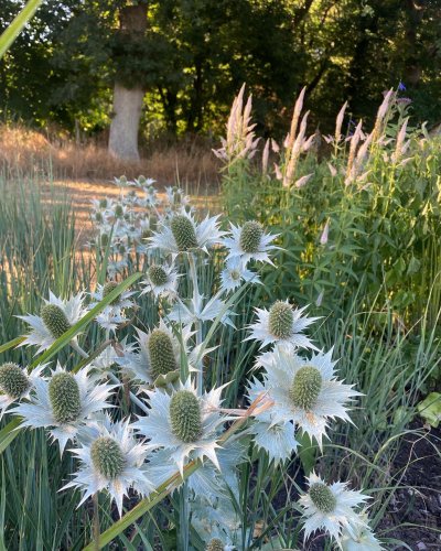 Photo post from sussexprairies.