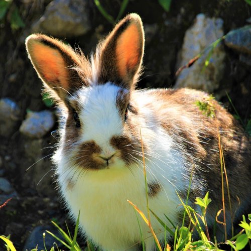 Photo post from kasarstays.