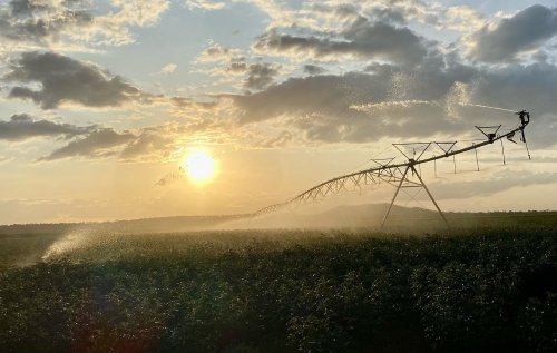 Photo post from howefarming.