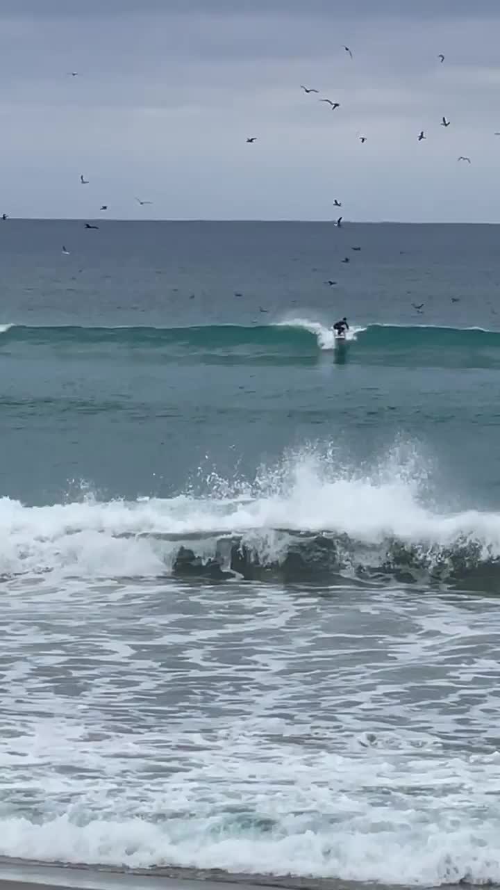 Video post from ejs_fishing_charters.