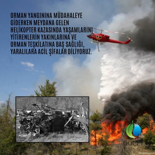 Photo post from dogavecevrevakfi.