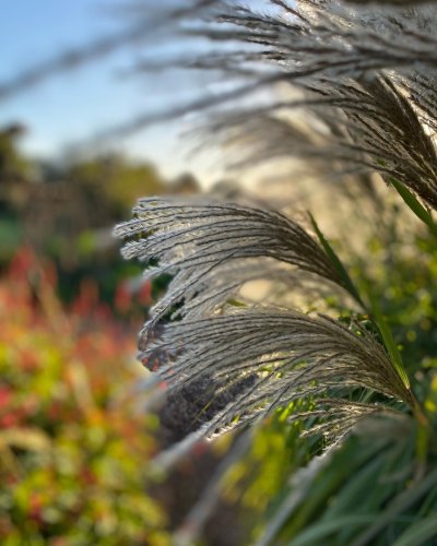 Photo post from sussexprairies.