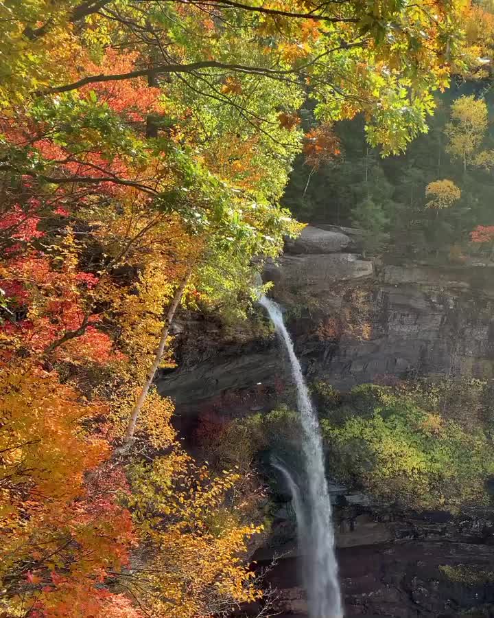 Video post from beyondvisioncenter.