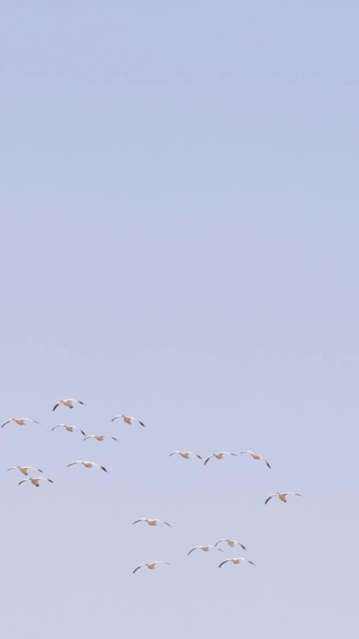 Video post from northernskiesoutfitters.