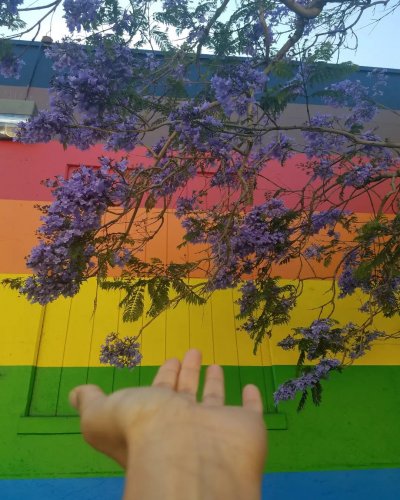 Photo post from monica.mody.