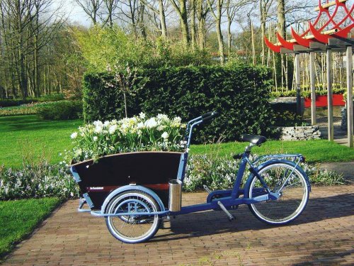 Photo post from taucktravel.