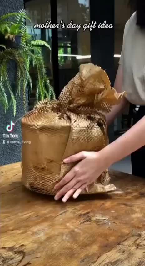 Video post from crane_living.