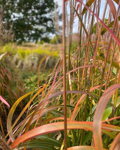 Photo post from sussexprairies.