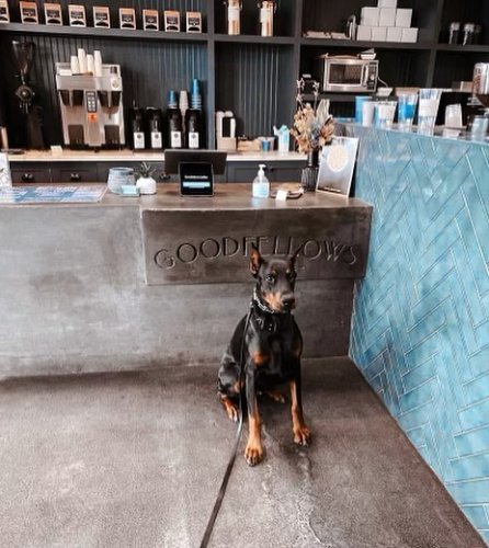 Photo post from goodfellows.coffee.