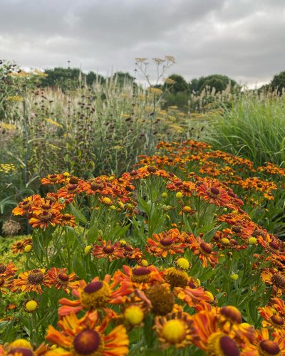 Photo post from sussexprairies.