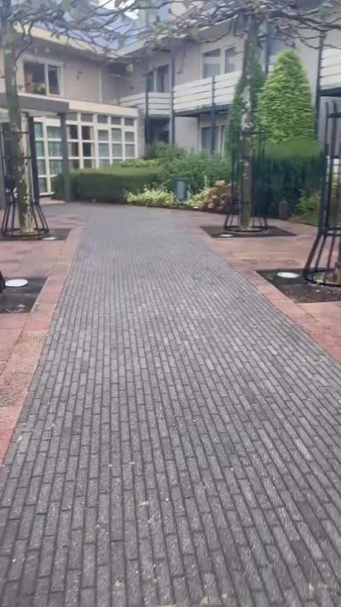 Video post from masteryourbusinessmoves.nl.