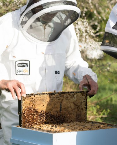 Photo post from comvita_au.