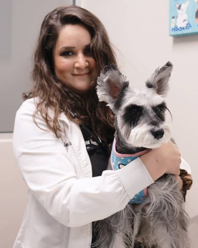 Photo post from medicalpettj.