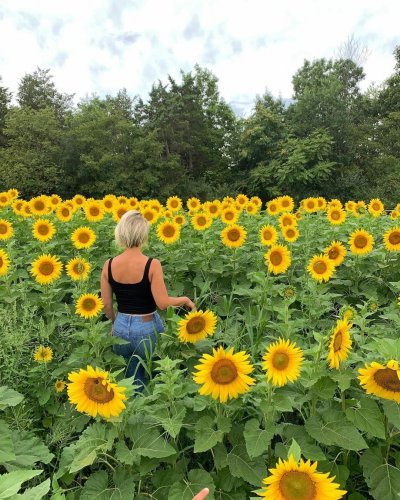 Photo post from dutchesstourism.