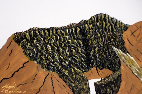 Photo post from ira.martelo.