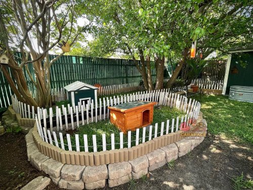 Photo post from carapacecritters.