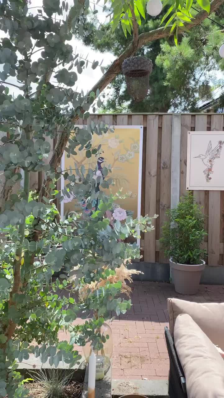 Video post from hoff.van.saar.