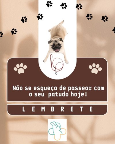 Photo post from clinica_veterinaria_dourosul.