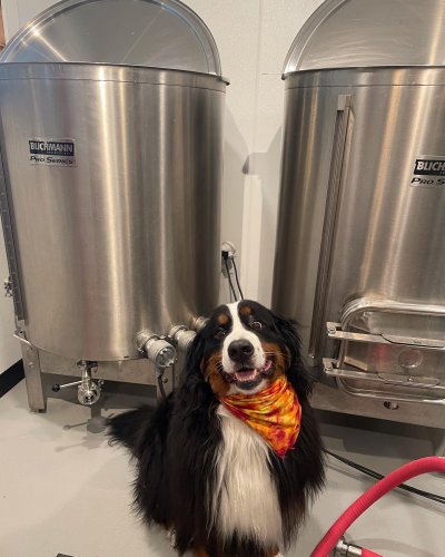 Photo post from northlandbrew.