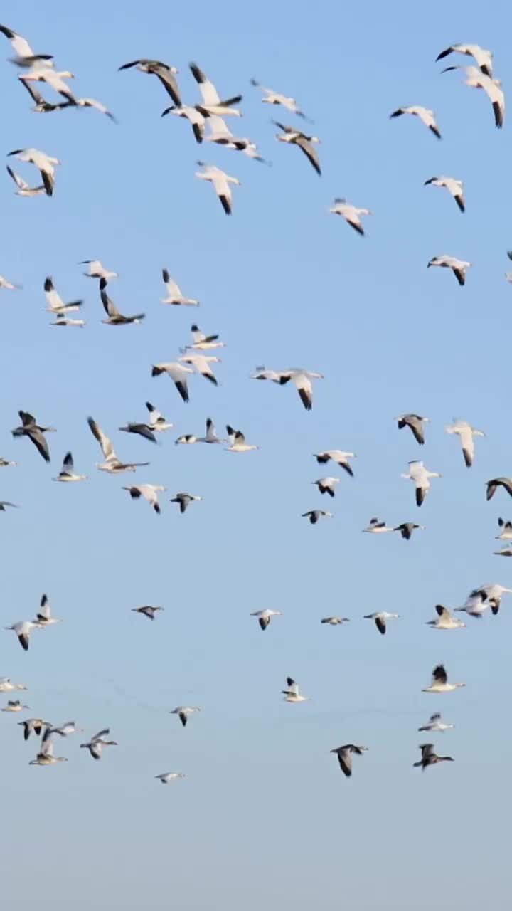 Video post from northernskiesoutfitters.