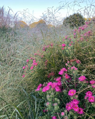 Photo post from sussexprairies.