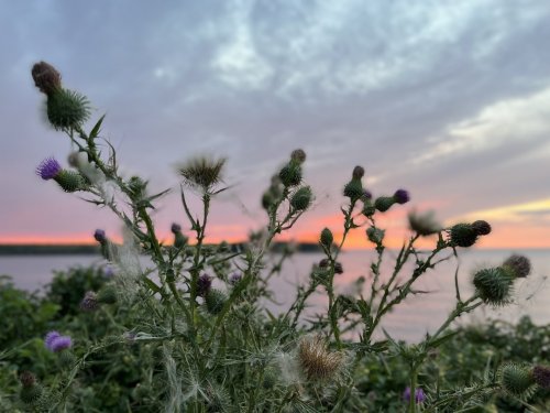 Photo post from freyaetthor.