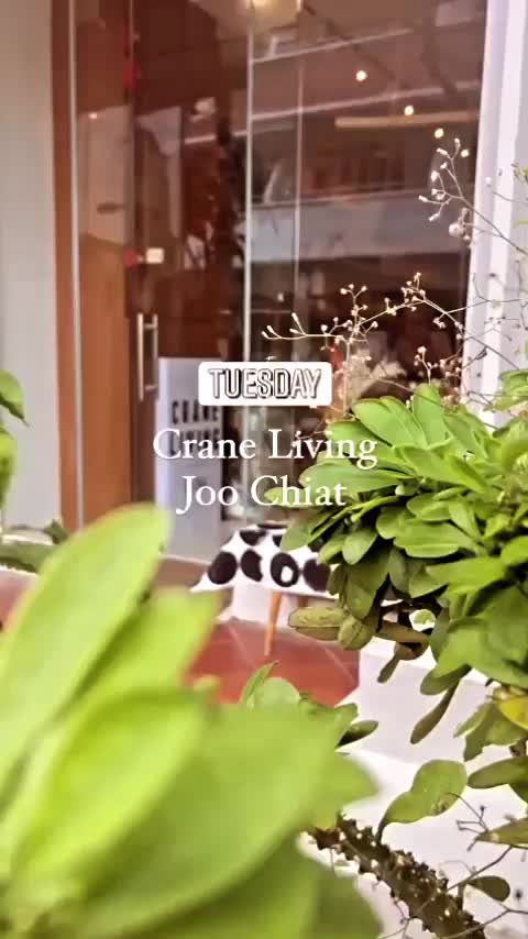 Video post from crane_living.
