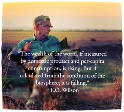 Photo post from hungryhollowfarm.