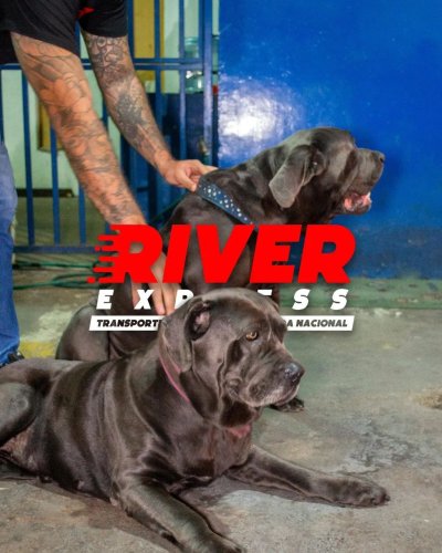 Photo post from riverexpress_sc.