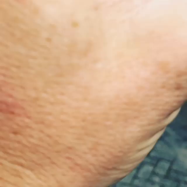 Video post from signkings.
