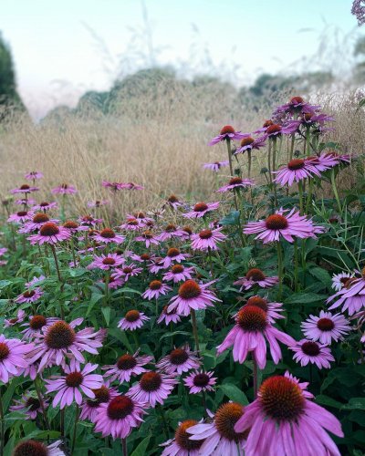 Photo post from sussexprairies.