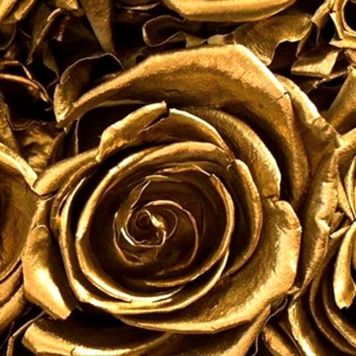 Photo post from thejenniferneel.