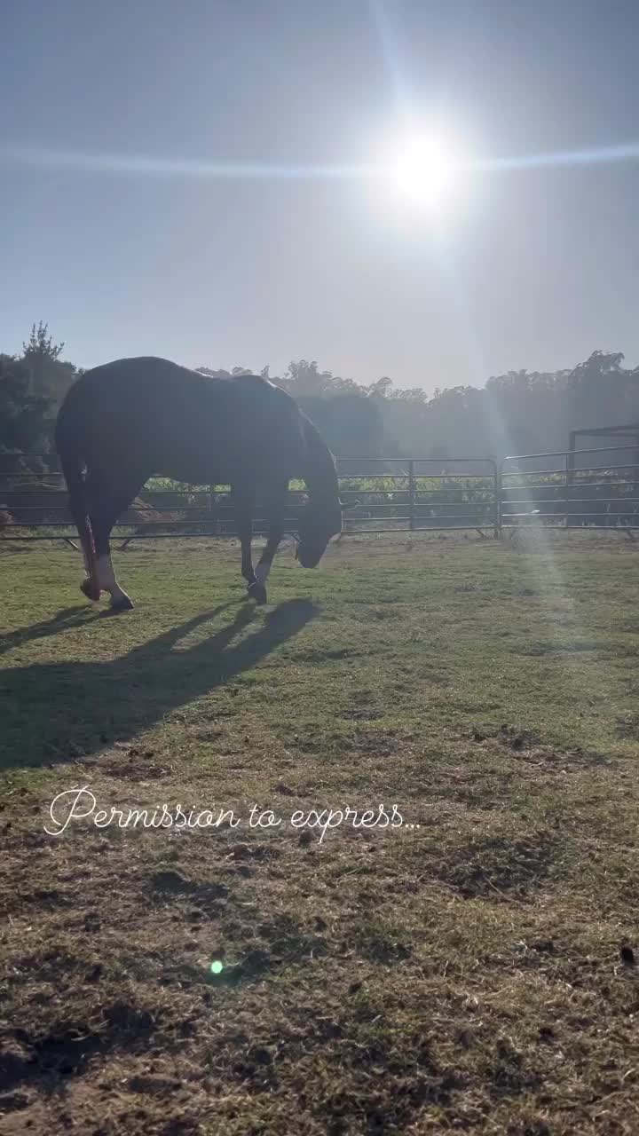 Video post from __amber_lydic__.