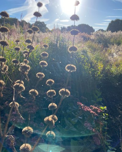 Photo post from sussexprairies.