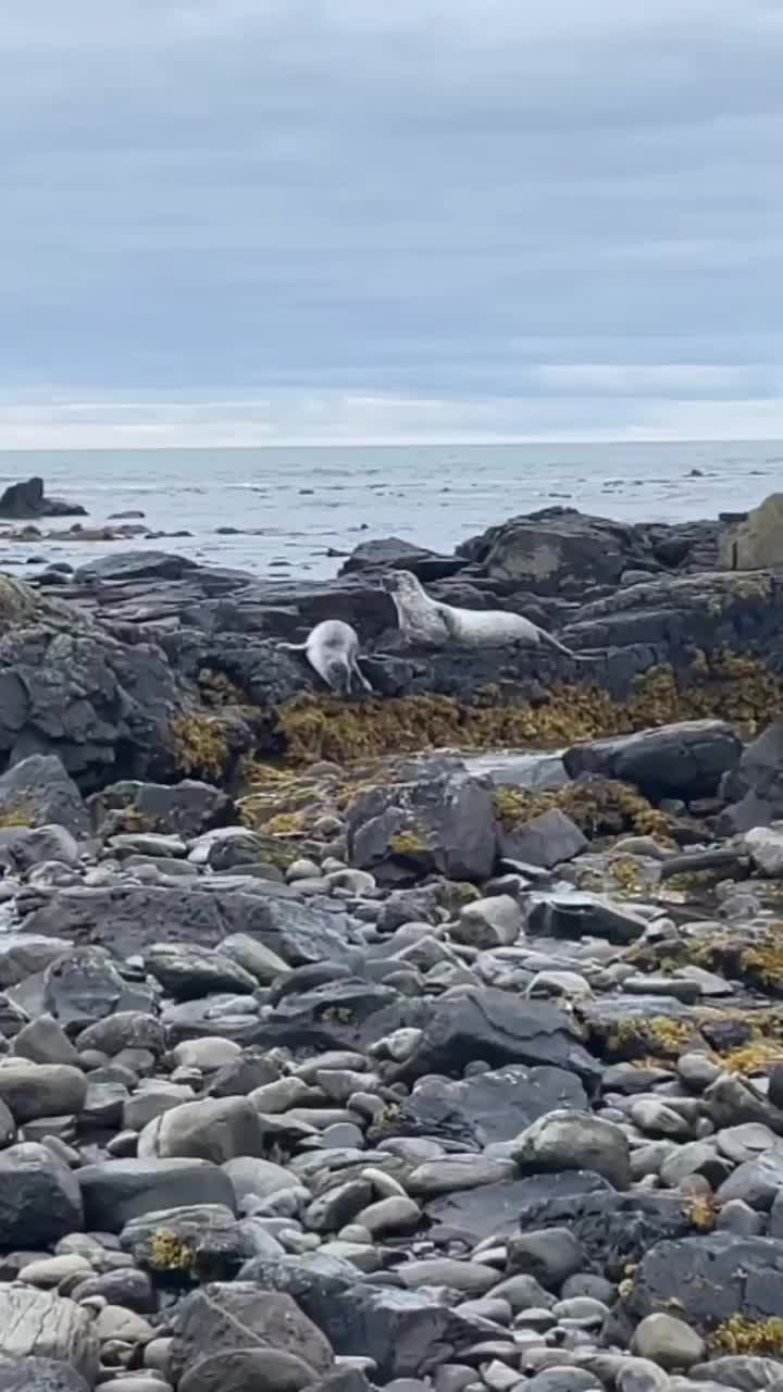Video post.