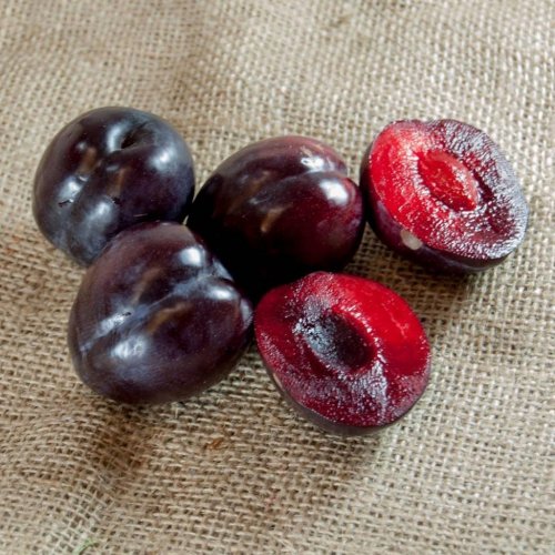 Photo post from farmbox_arizona.