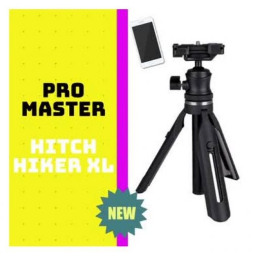 Photo post from cardinalcamera1937.